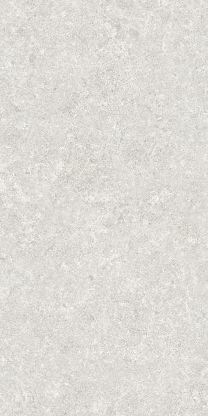 VERITY PEARL MT RECT. 60X120