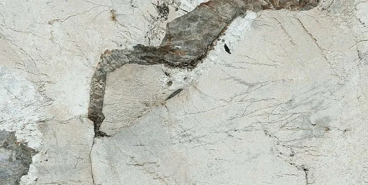 PAMESA PATAGONIA SATIN WHITE (SATEN) RECT. 60x120 — изображение 3