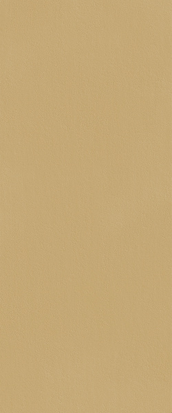 FTDS TRUE COLOR CARAMEL 50X120 RT