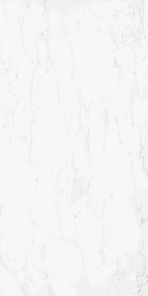 610015000494 ШАРМ ДЕЛЮКС БЬЯНКО МИКЕЛАНДЖЕЛО 60X120 CER