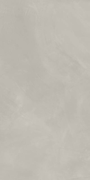 610010002684 КОНТИНУУМ СИЛЬВЕР 80X160