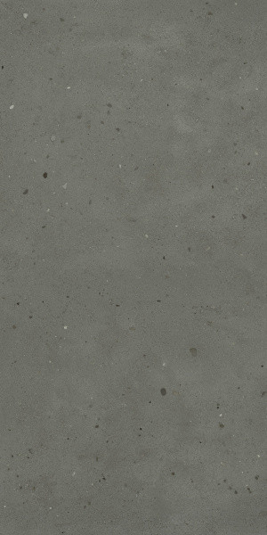 600010001808 АВАНГАРД БЛЭК 120X120 РЕТ