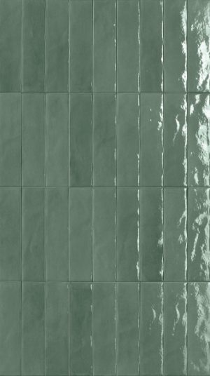 FRMX GL SALVIA BR 6X24