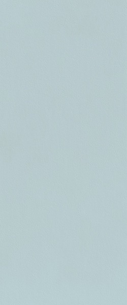 FTDT TRUE COLOR CLOUD 50X120 RT