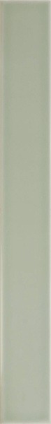 31141 VITRAL MINT 5Х40