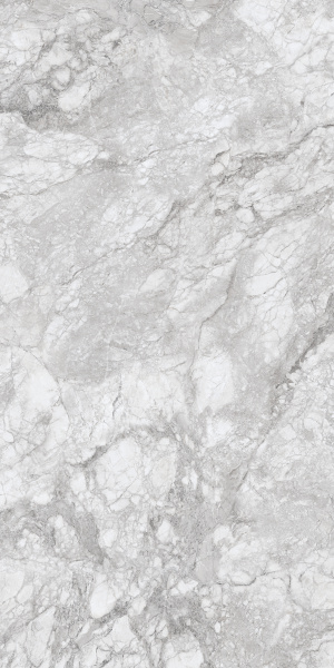 230167 POLAR GREY POLISHED 60X120