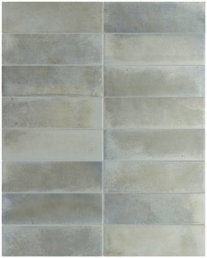 30689 RAKU SEA 6Х18.6