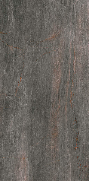 FOSSIL PIOMBO RET 60X120