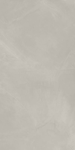 610010002679 КОНТИНУУМ СИЛЬВЕР 60X120 РЕТ