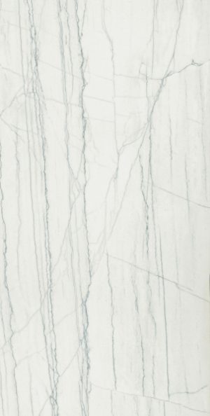 610015000584 ШАРМ ЭДВАНС ПЛАТИНУМ УАЙТ 60X120 ПАТ