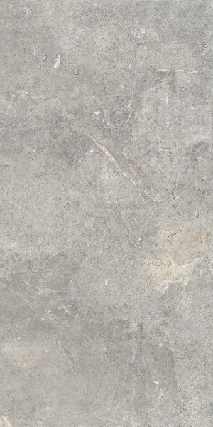 КЕРАМИЧЕСКАЯ ПЛИТКА EVERGREIGE RET(T) 60X120