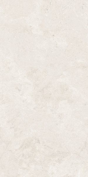 КЕРАМОГРАНИТ SALMA BONE MATT