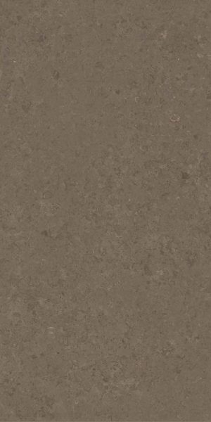 VSTONE BROWN LAP R 60X120 8,5 ММ