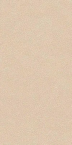 LEATHERWOOD CUIR BEIGE NAT.3D 60X120 8,5 ММ