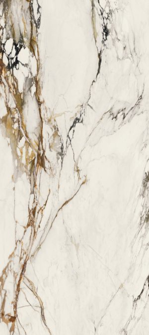 PAONAZZO BIONDO POL. 120X270(6)(A)