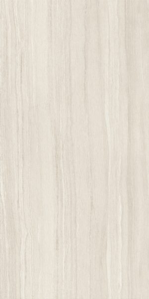 MARVEL T STONE VEIL 60X120