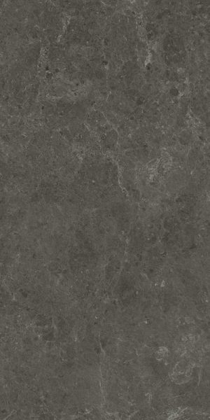 NYRA CHARCOAL 60X120