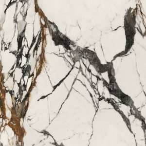 PAONAZZO BIONDO POL.PV6 120X120(A)