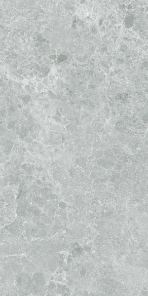 НАПОЛЬНАЯ ПЛИТКА 59,5*120 СHARISMA GREY MT 3DB