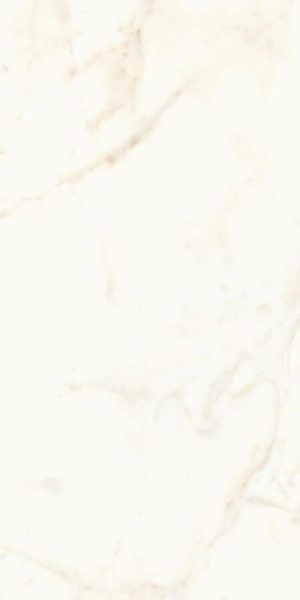 MARVEL CALACATTA DELICATO 60X120 LAPPATO