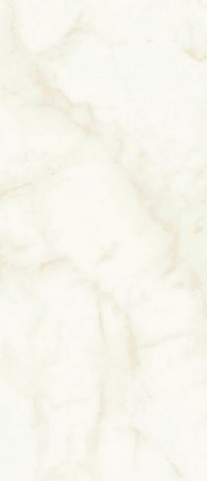 MARVEL CALACATTA DELICATO 50X120 SILK