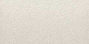 NISUS NEVE RECT 60X120