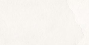 НАПОЛЬНАЯ ПЛИТКА 60*120 SOUTHRIM BONE MT