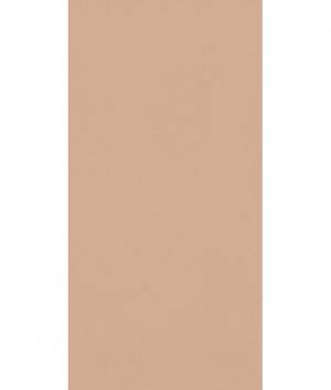 КЕРАМОГРАНИТ HBE BIOTERRE TERRA HBE 6 60X120 RETT