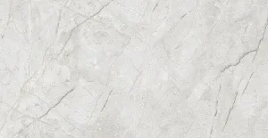 ПЛИТКА КЕРАМОГРАНИТНАЯ AZARIO MARINO GREY 60Х120 GLOSSY (F4080821120G)