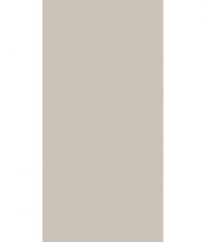 КЕРАМОГРАНИТ HBE BIOTERRE ARGILLA HBE 11 60X120 RETT