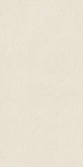 ПЛИТКА НАП. КЕРАМИЧ. BOOST NATURAL PRO SALT 60X120