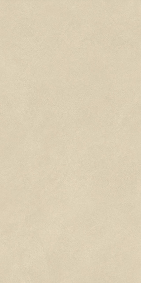 ПЛИТКА НАП. КЕРАМИЧ. BOOST NATURAL PRO OAT 60X120