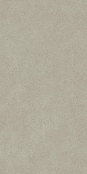 ПЛИТКА НАП. КЕРАМИЧ. BOOST NATURAL PRO DOVE 60X120