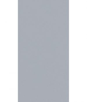 КЕРАМОГРАНИТ HBE BIOTERRE ARTICO HBE 2 60X120 RETT