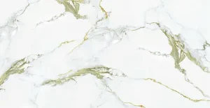 ПЛИТКА КЕРАМОГРАНИТНАЯ AZARIO CALACATTA GOLD 60X120 CARVING (H18004002G)