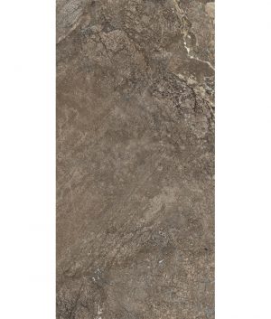 КЕРАМОГРАНИТ ONYX&MORE GOLDEN PORPHYRY STR 60X120 RET