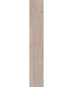 КЕРАМОГРАНИТ 4 SEASONS BISCUIT NAT R20X120