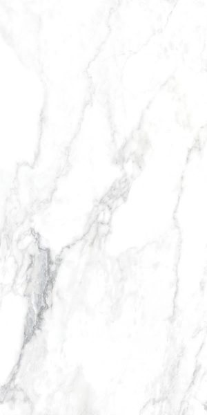 CANOVA ARABESCATO LAP RET 60X120 8,5 ММ