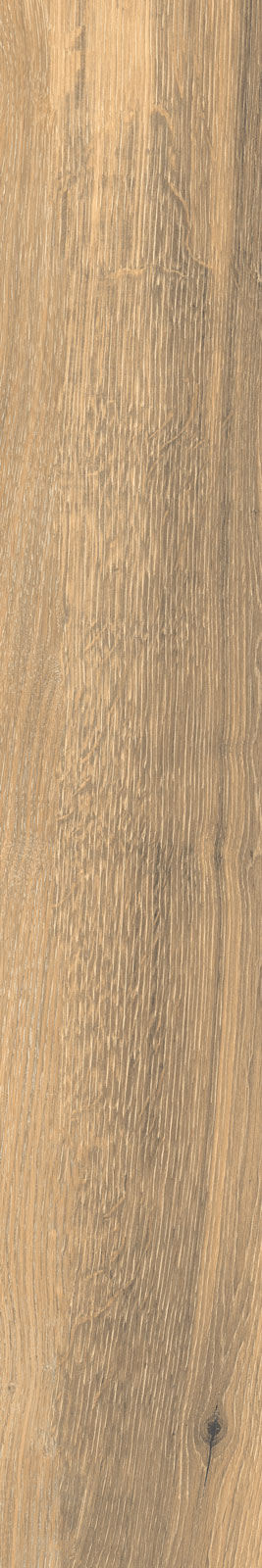 TIMELESS HONEY RET 20X120 8,5 ММ