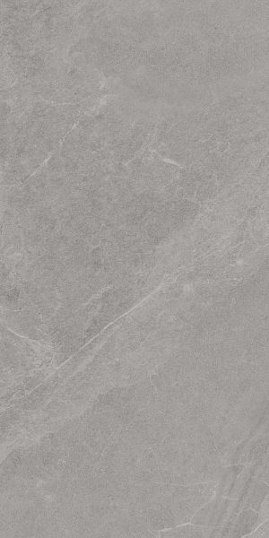 ANGERS AV GREY RET 60X120