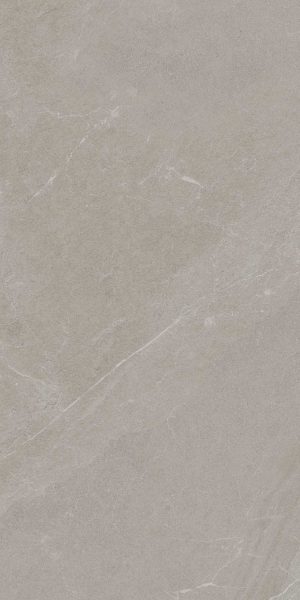 ANGERS AV TAUPE RET 60X120