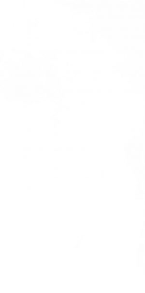 PASTEL X PURO RET 60X120  7 ММ