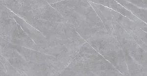 ПЛИТКА КЕРАМОГРАНИТНАЯ AZARIO ASMUS GREY 60Х120 GLOSSY (F4070821120G)