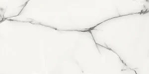 ПЛИТКА КЕРАМОГРАНИТНАЯ AZARIO ONYX GREY 60Х120 GLOSSY (P3211112138G)