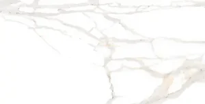 ПЛИТКА КЕРАМОГРАНИТНАЯ AZARIO STATUARIO GOLD 60Х120 MATT (F2030821120M)