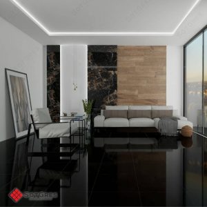 BLACK /60Х60/ГЛЯНЦЕВЫЙ КЕРАМИЧЕСКИЙ ГРАНИТ