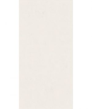 КЕРАМИЧЕСКАЯ ПЛИТКА WIDE&STYLE MINI SNOW RET 60Х120