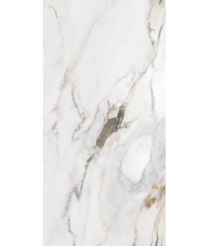 КЕРАМОГРАНИТ MARMO E PIETRA MACCHIA ANTICA NAT. RETT. 60X120
