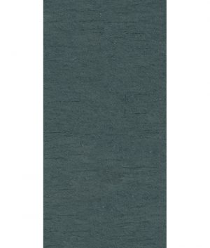 КЕРАМОГРАНИТ PTR.STN.RE BASAL.DARK ASH NAT R60X120