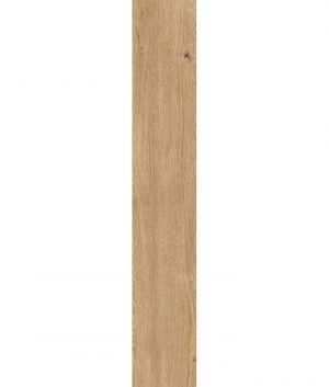 КЕРАМОГРАНИТ 4 SEASONS HONEY NAT R20X120